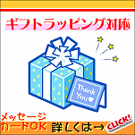 �N���X�}�X�v���[���g�ɘr���v